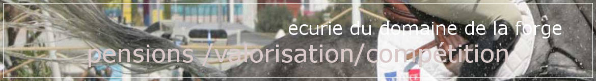 ecurie du domaine de la forge